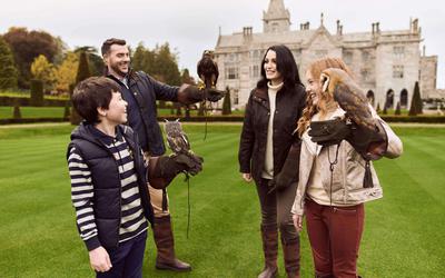 Falconry