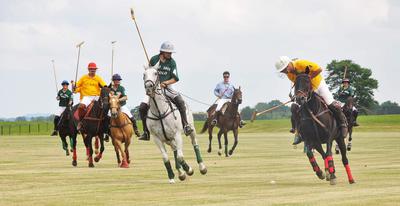 Polo