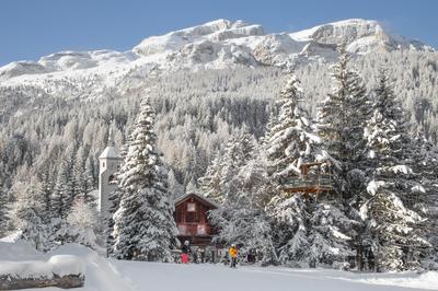 Skiing