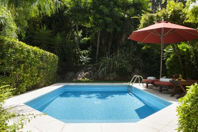 Deluxe Room with Private Pool and Garden