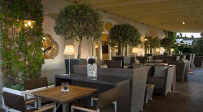 Bar Terrace