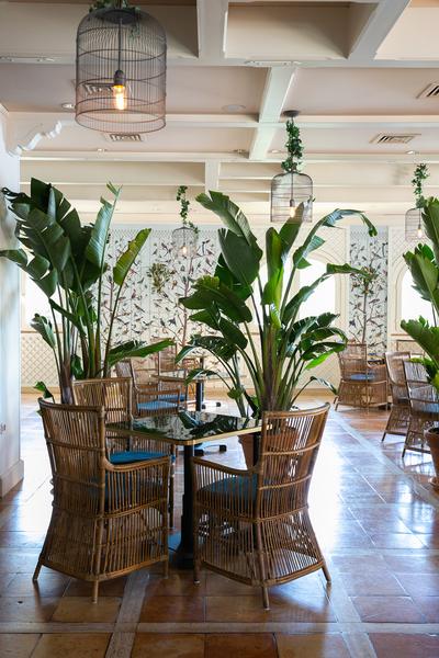 Pellicano Restaurant