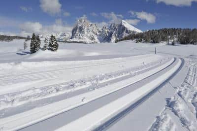 Cross Country Skiing