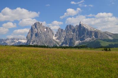 Alpe di Siusi - Mount Sasslong