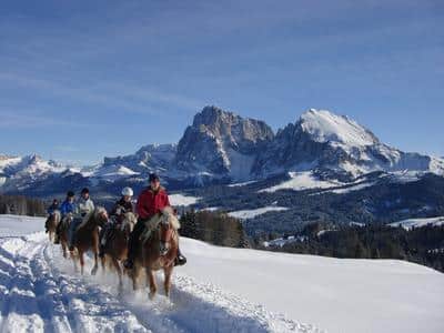 Horse Riding Excursions