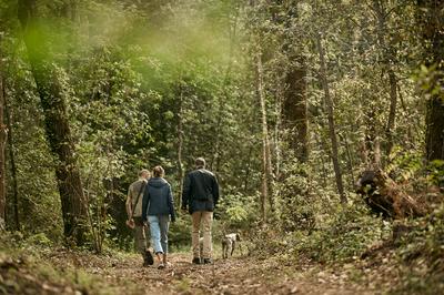 Truffle Hunting on the Estate
