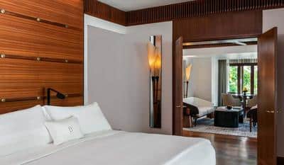 Canopy Suite