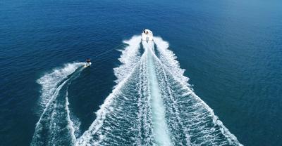 Water Ski