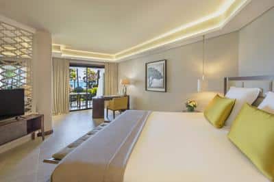 Palm Suite
