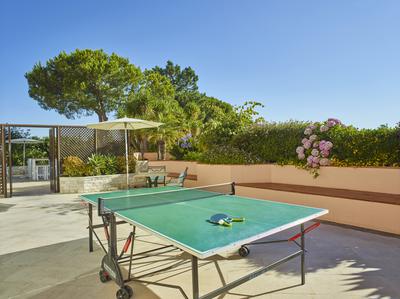 Ping Pong