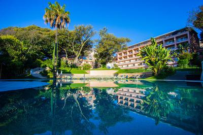 Outdoor Pool View