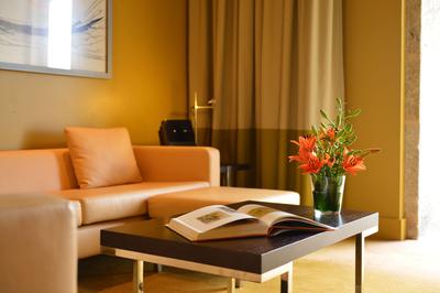 Suite Nicolau Nasoni Living Room