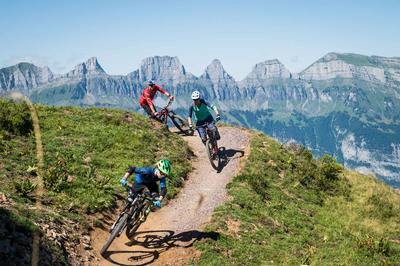 Bike Tour