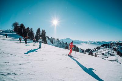 Ski