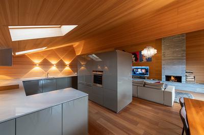 Modern Penthouse
