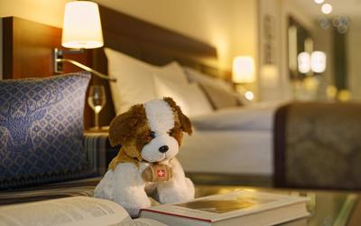 Alpine Style - Junior Suite Classic