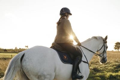 Horse Riding Lessons / Equestrian School