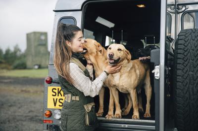 Gun Dogs Lessons