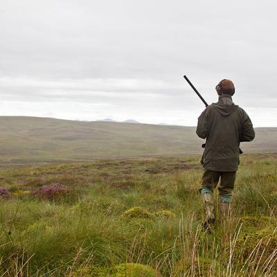 Game Bird Shooting