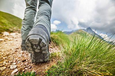 Guided Walks