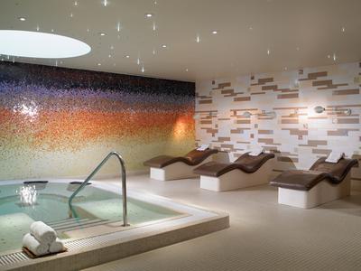 Hydro Spa - Plunge Pool