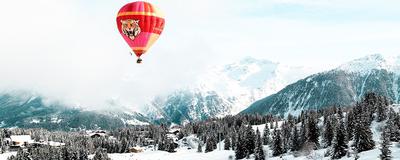 Hot Air Balloon