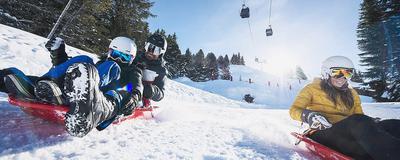 Tobogganing