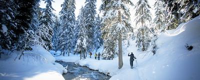 Snowshoeing