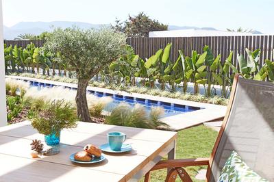 Laguna Suite Swim Up