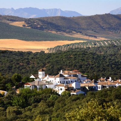 Barcelo La Bobadilla image