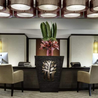 Banyan Tree Bangkok image