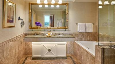 Premium Suite