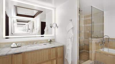 1-Bedroom Suite - Mountain View