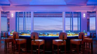 Coral Reef Bar