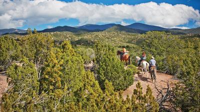 Horse Riding