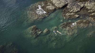 Snorkelling