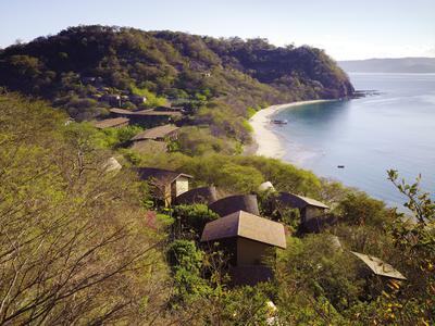 Canopy Suites