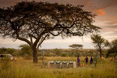 Diiner in Serengeti National Park