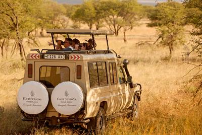 Safari