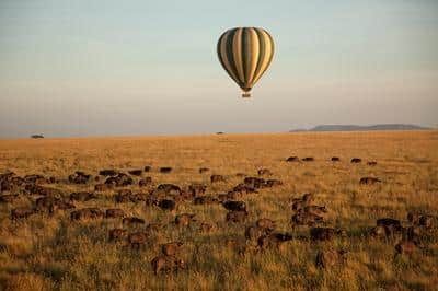 Hot Air Balloon