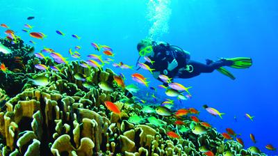 Scuba diving