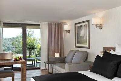Superior Room Mountain View