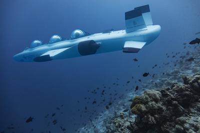 Deep Flight