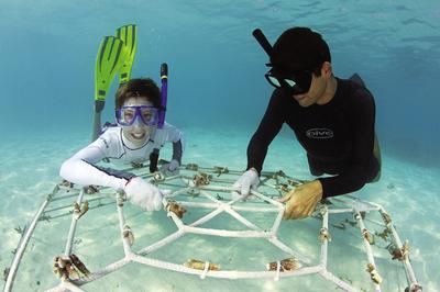 Marine Conservation