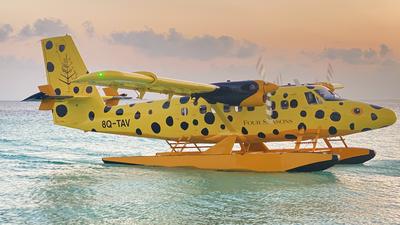 The Flying Boxfish