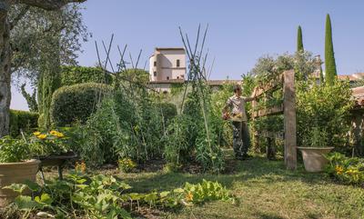 Vegetable Garden