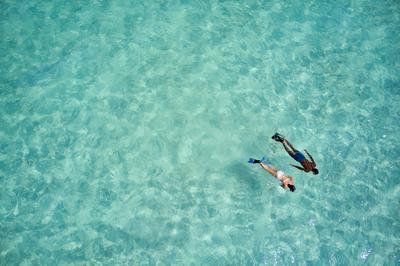 Snorkeling