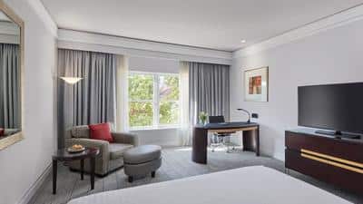 1 King Bed