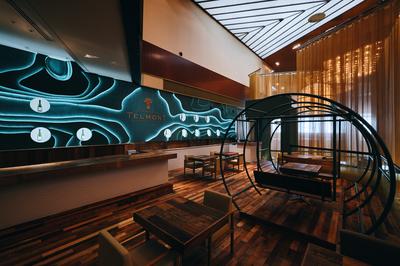 The Champagne Bar By TELMONT