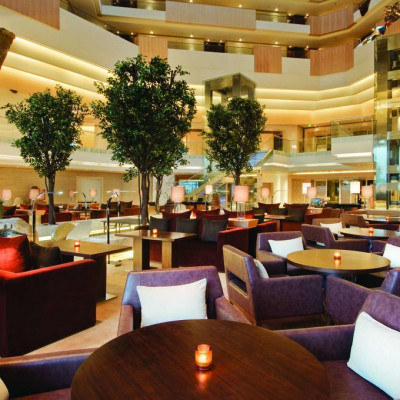 Hyatt Regency Chennai image